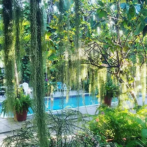Orchid Guest house